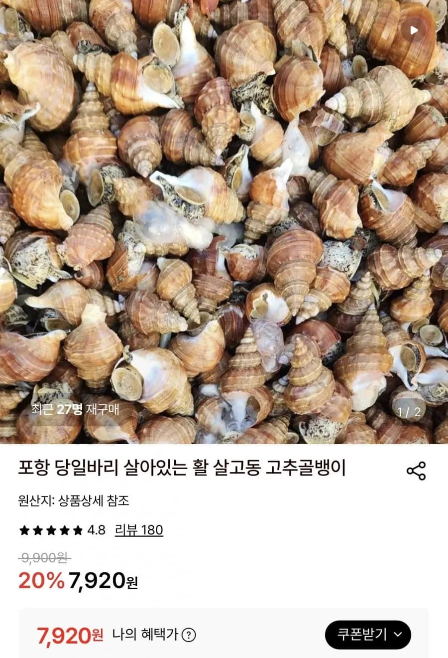 살아있는 활 살고동 고추골뱅이 1kg