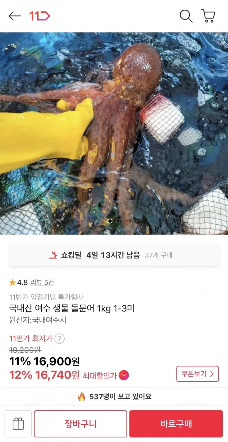 국내산 여수 생물 돌문어 1kg