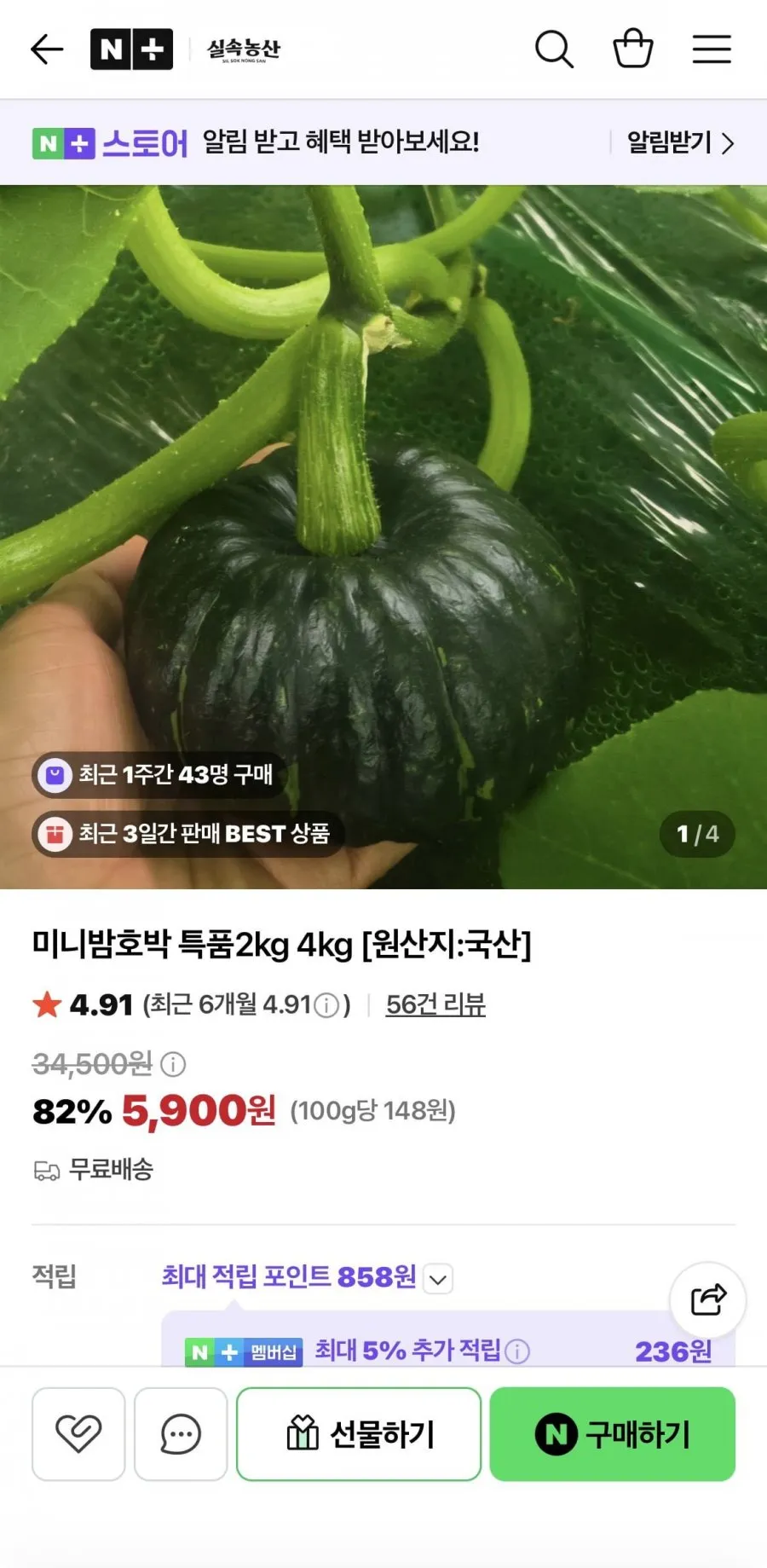 네이버)미니밤호박 특품 2kg