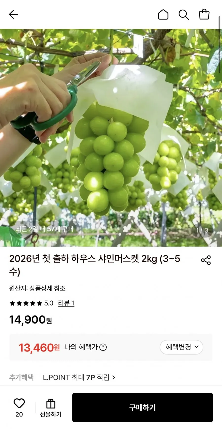 국내산 샤인머스켓 2kg