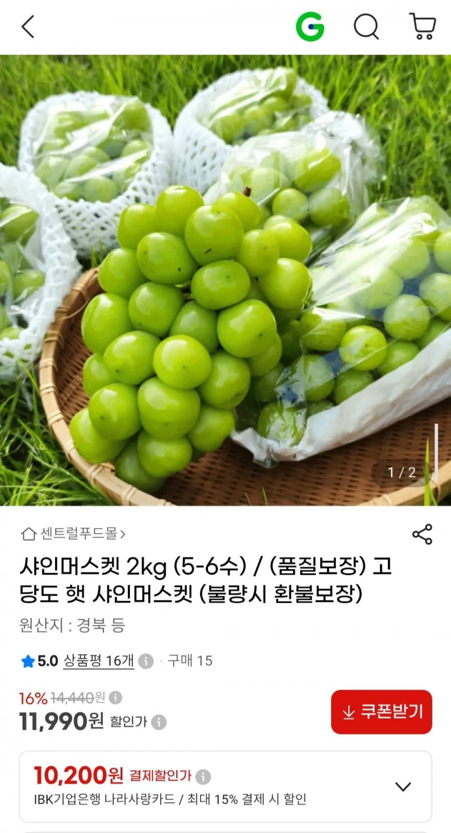 샤인머스켓 2kg (5-6수)