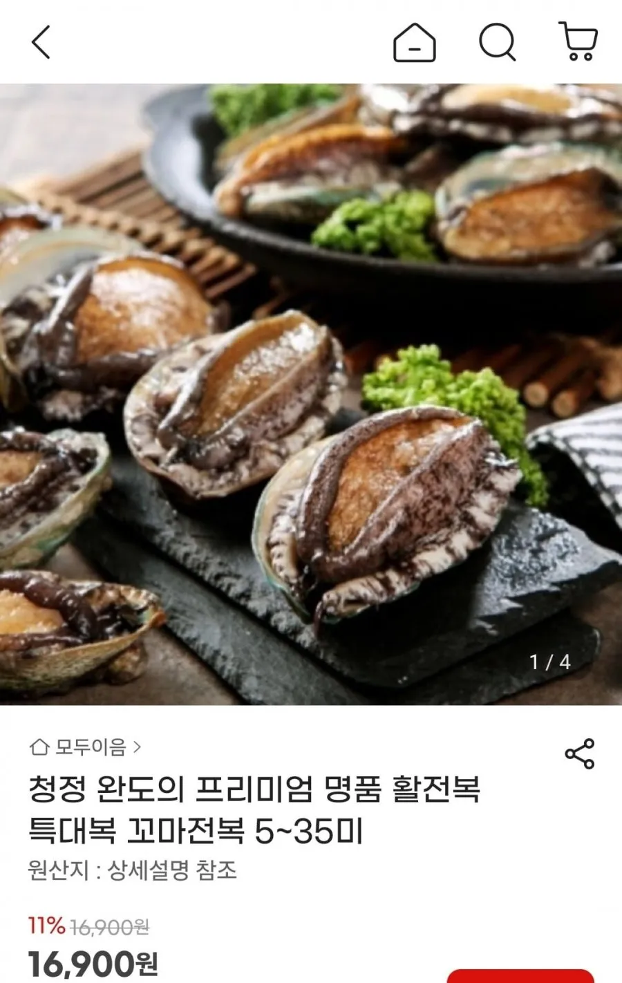 완도 활전복 특대 6-7미