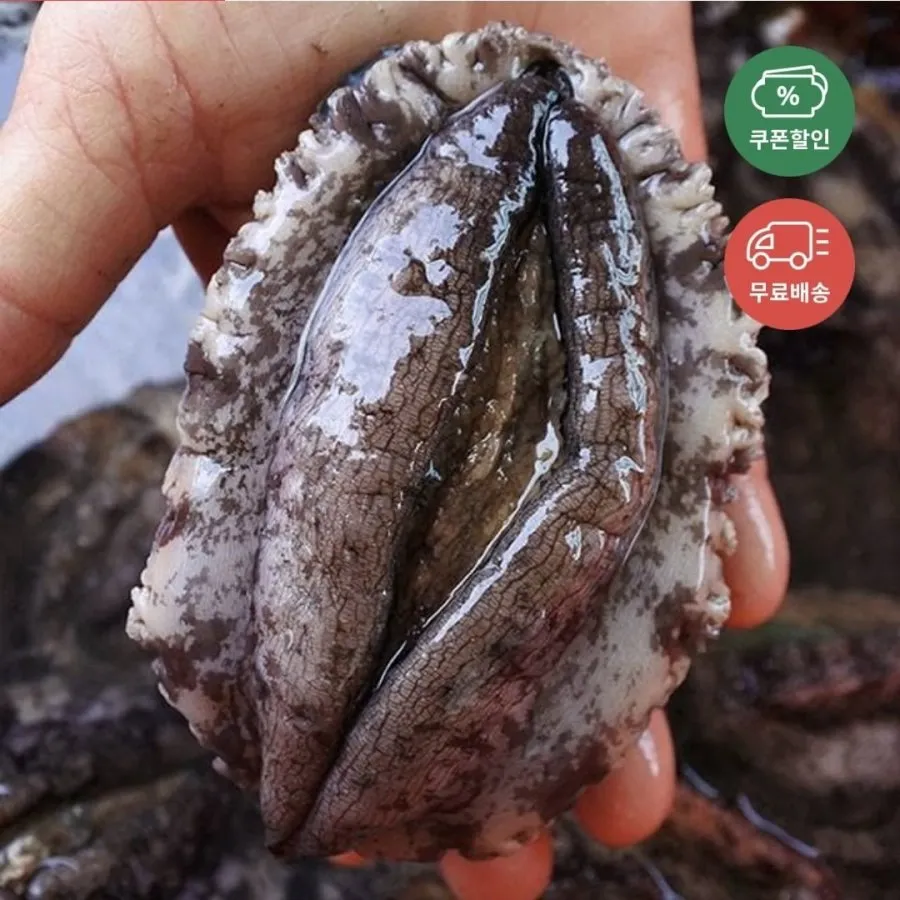 전복 1kg 7~9미 11,780원, 자포니카 초벌장어 600g