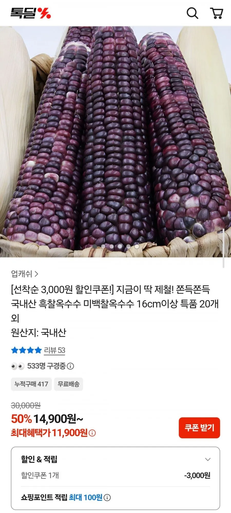 국내산 흑찰옥수수 16cm이상 특품 20개