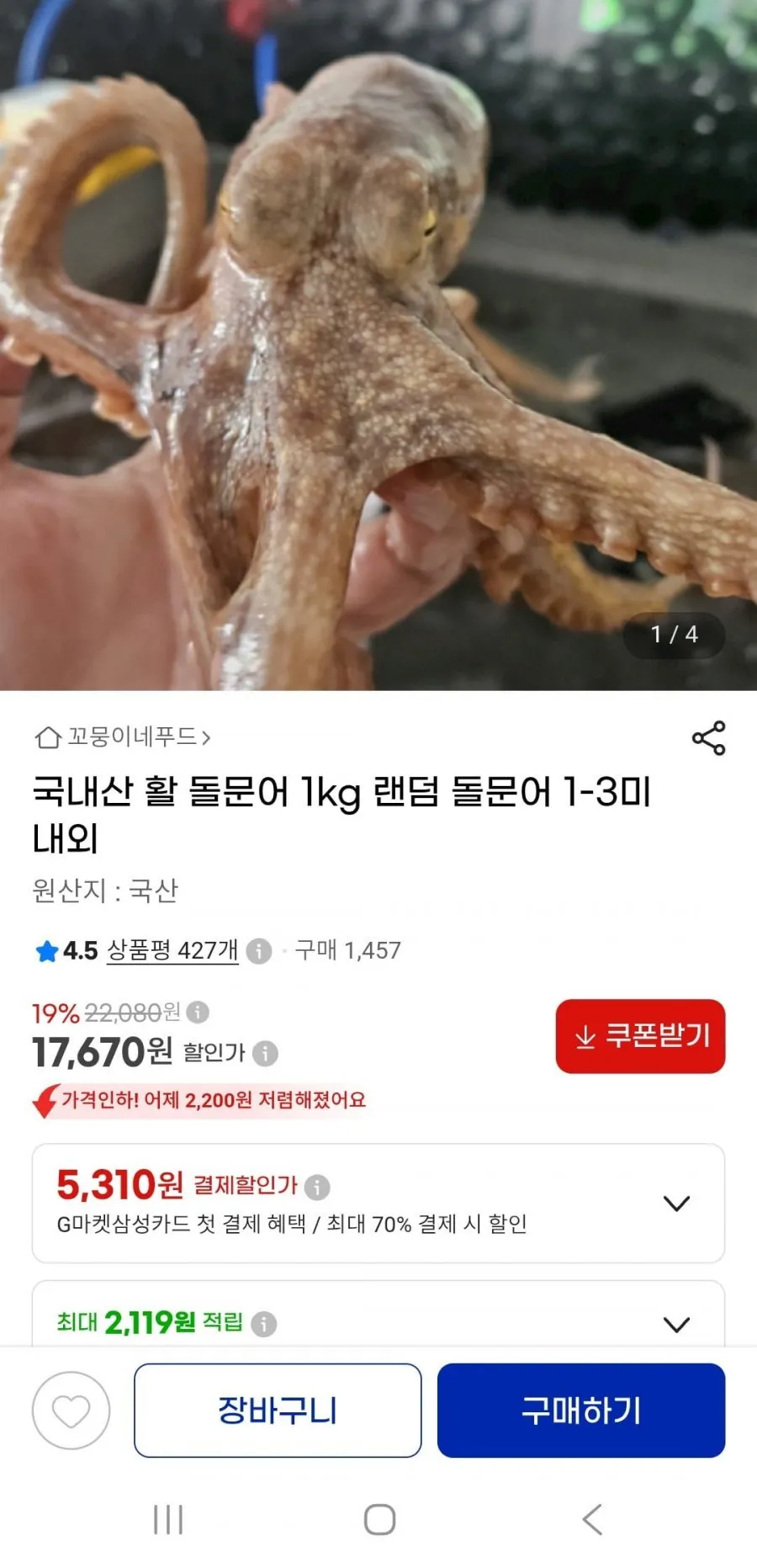 활돌문어 1kg 1~3미 랜덤