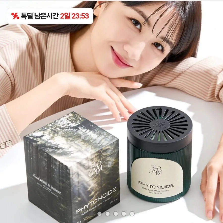 플로캄 대용량 고체탈취제 500g 1개입