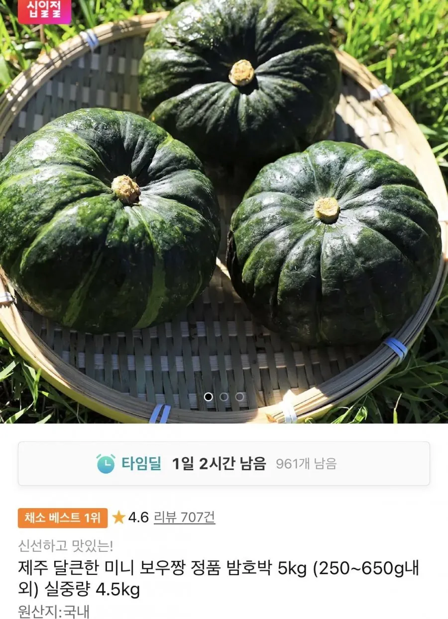 미니 보우짱 실중량 4.5kg 250~650g내외