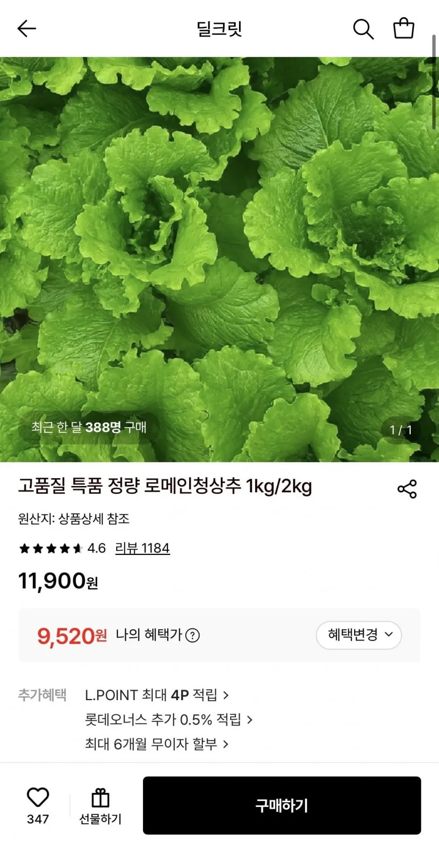 특품 정량 로메인청상추 1kg
