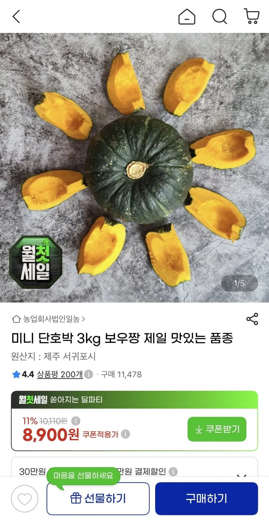 제주 미니 단호박 보우짱 3kg