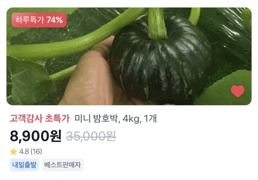 미니 밤호박 4kg