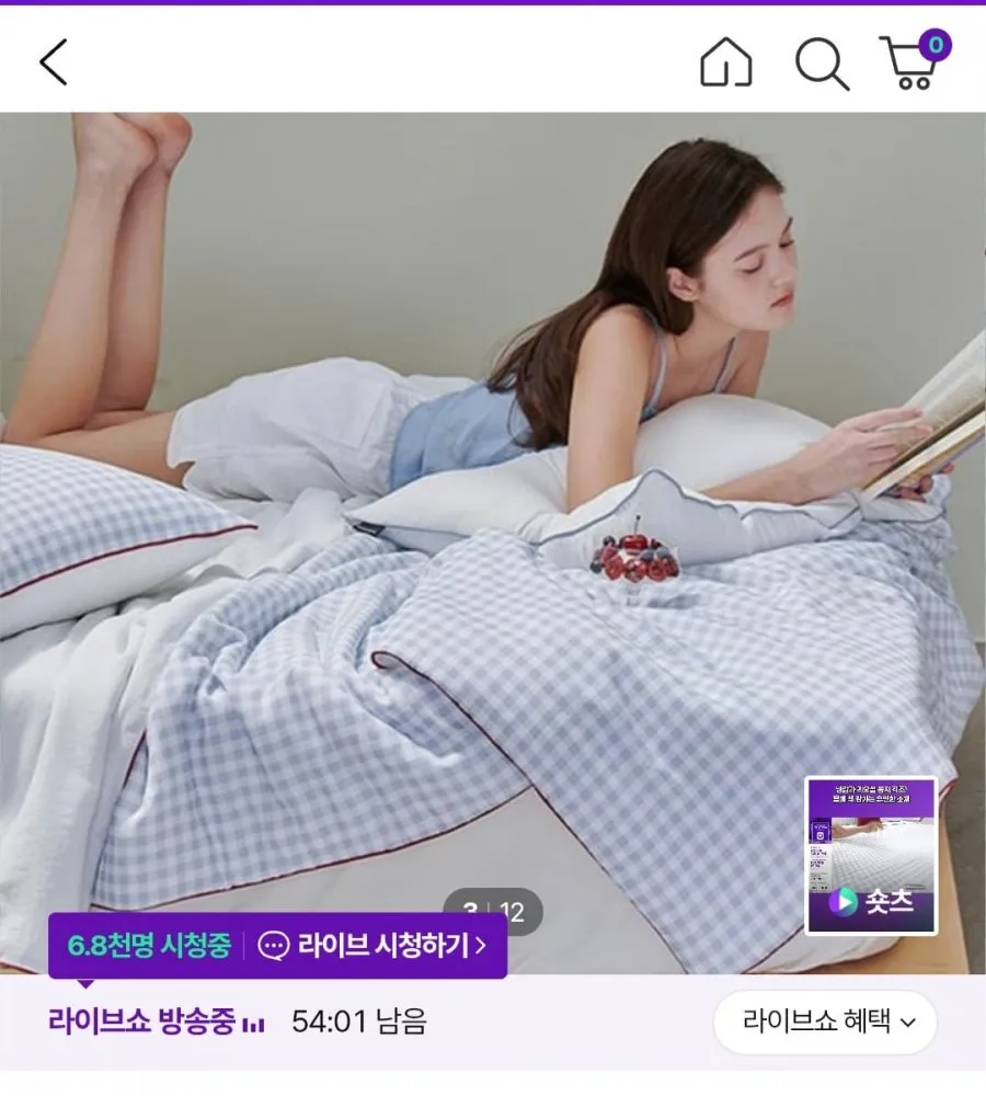 호무로 슈퍼하이쿨 텐셀리오셀 냉감침구 풀세트_SS