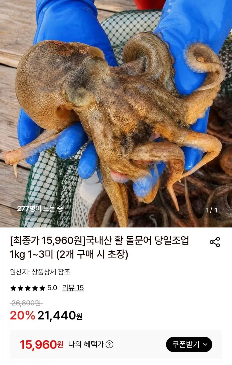 국내산 활 돌문어 당일조업 1kg 1~3미 (2개 구매 시 초장)