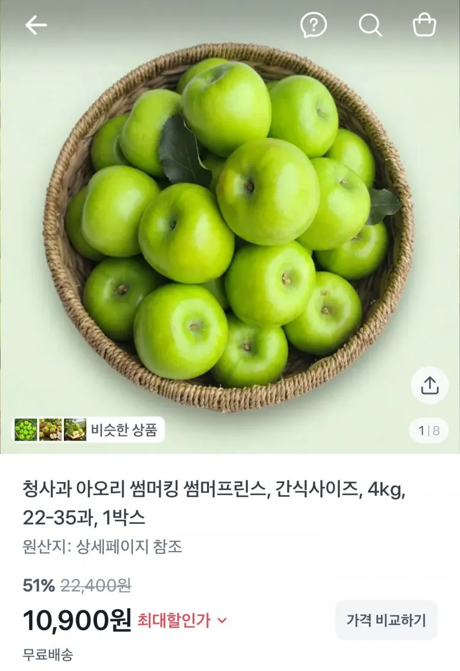 청사과 아오리 썸머킹 4kg