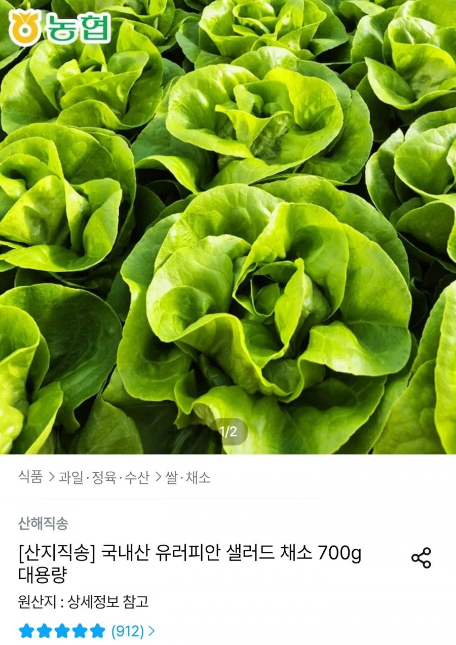 국내산 유러피안 샐러드 1kg