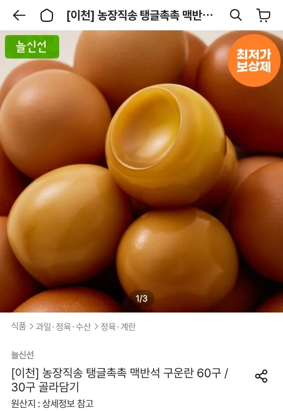 농장직송 맥반석 구운란 60구