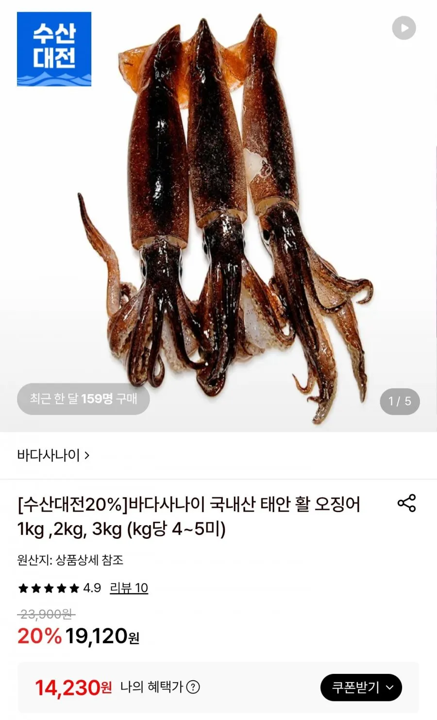 국내산 태안 활 오징어 1kg 4~5미