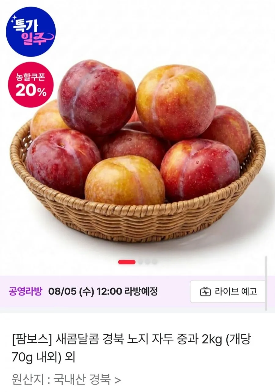 경북 노지 자두 중과 2kg (개당 70g 내외)