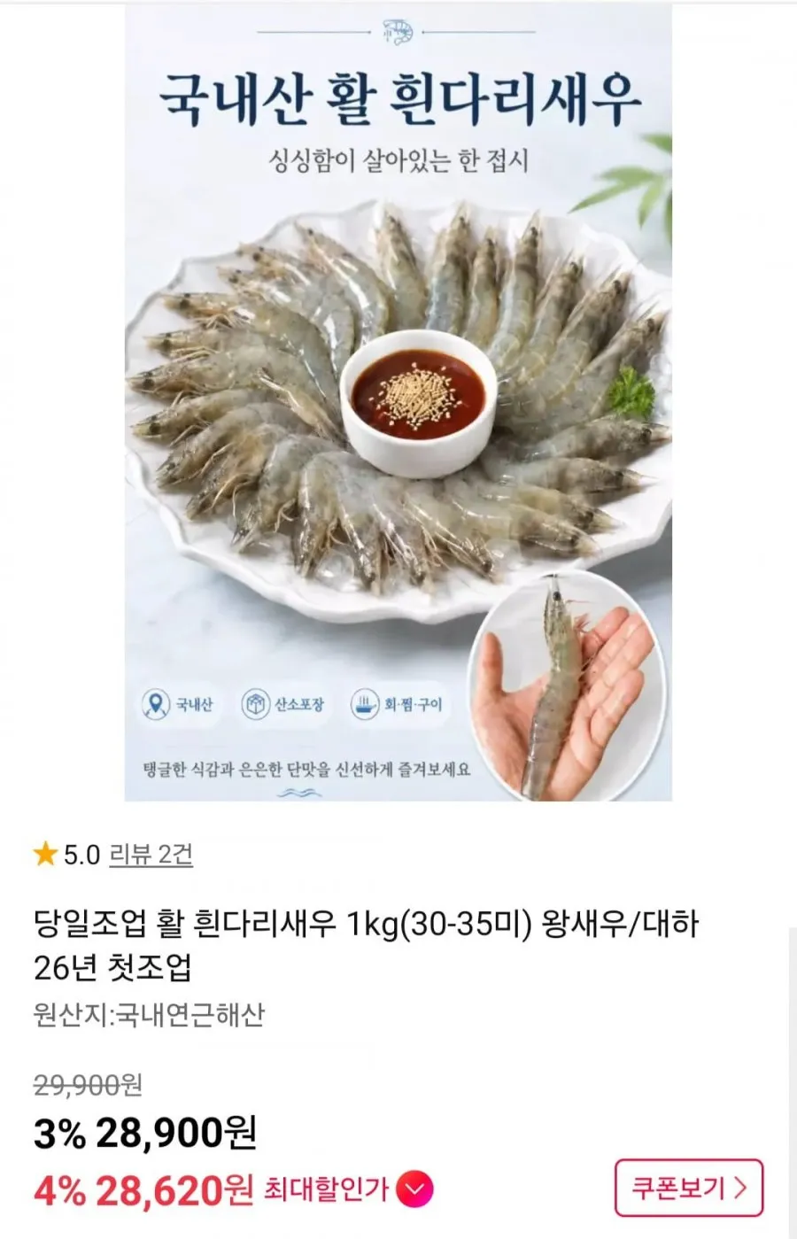 당일조업 활 흰다리새우 1kg(30-35미) 왕새우/대하 26년 첫조업