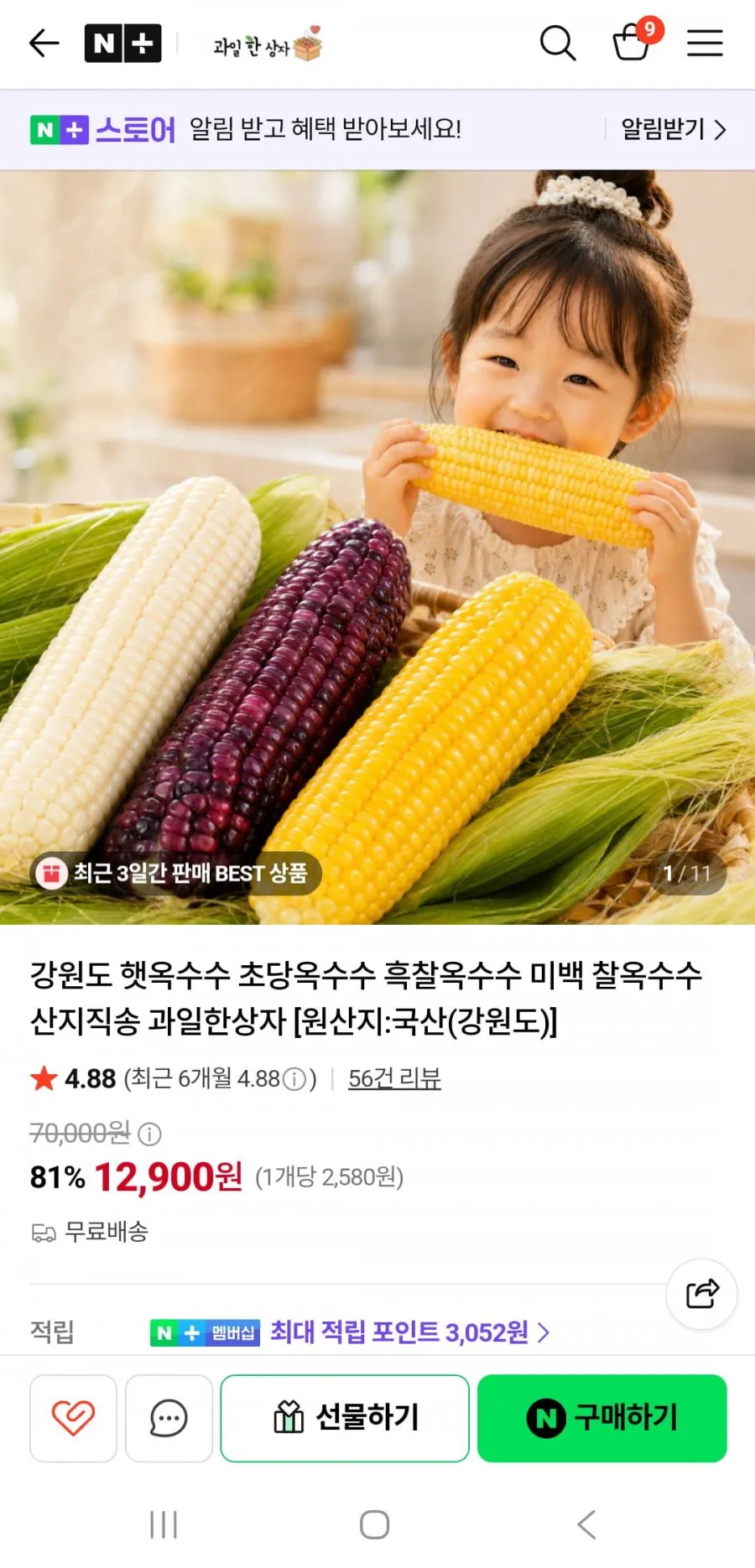 강원도 초당옥수수 흑찰옥수수 산지직송