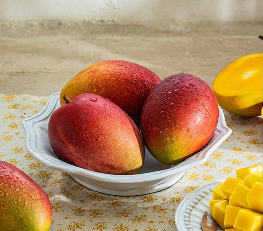 제주 애플망고 1.5kg (3과, 4과 중 택1)