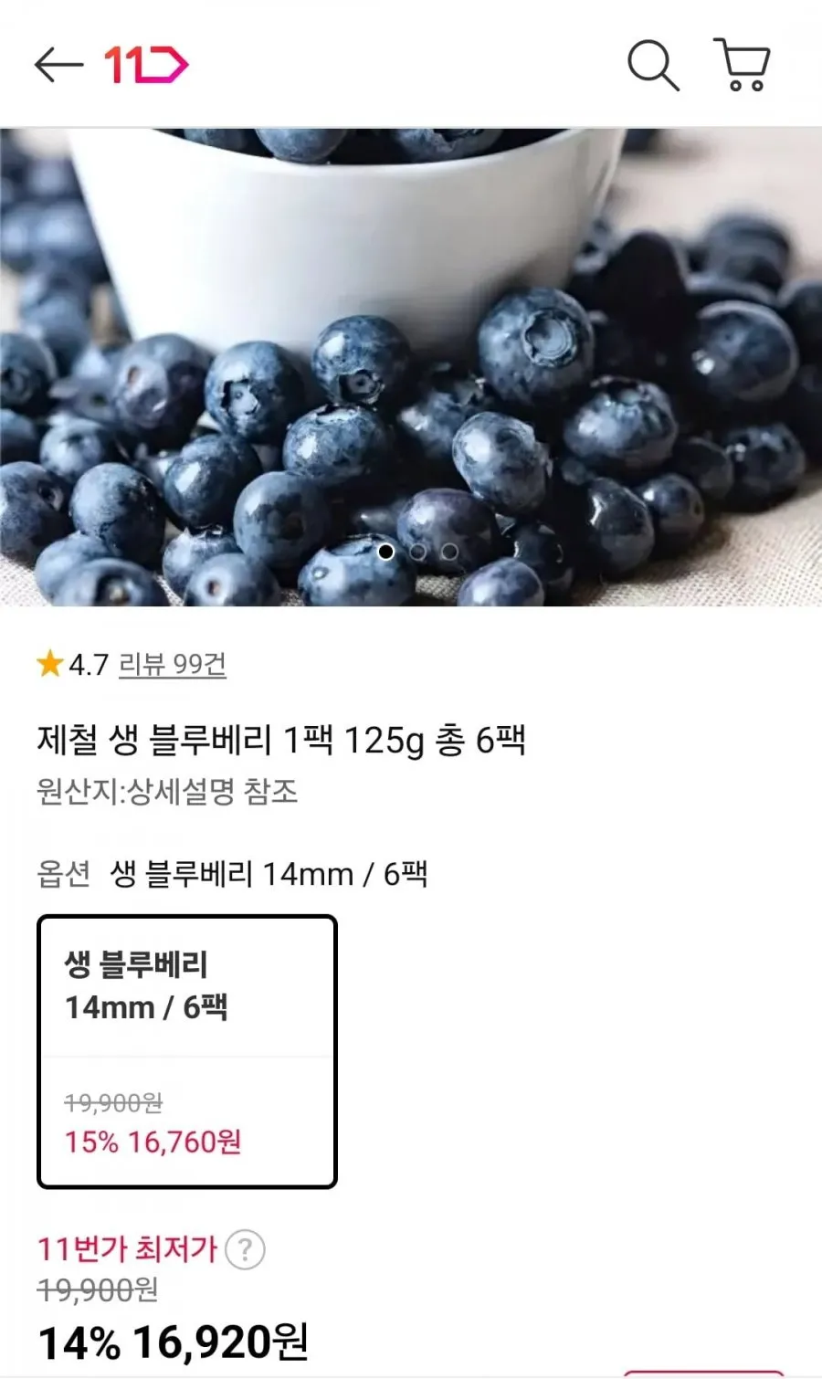 제철 생 블루베리 1팩 125g 총 6팩