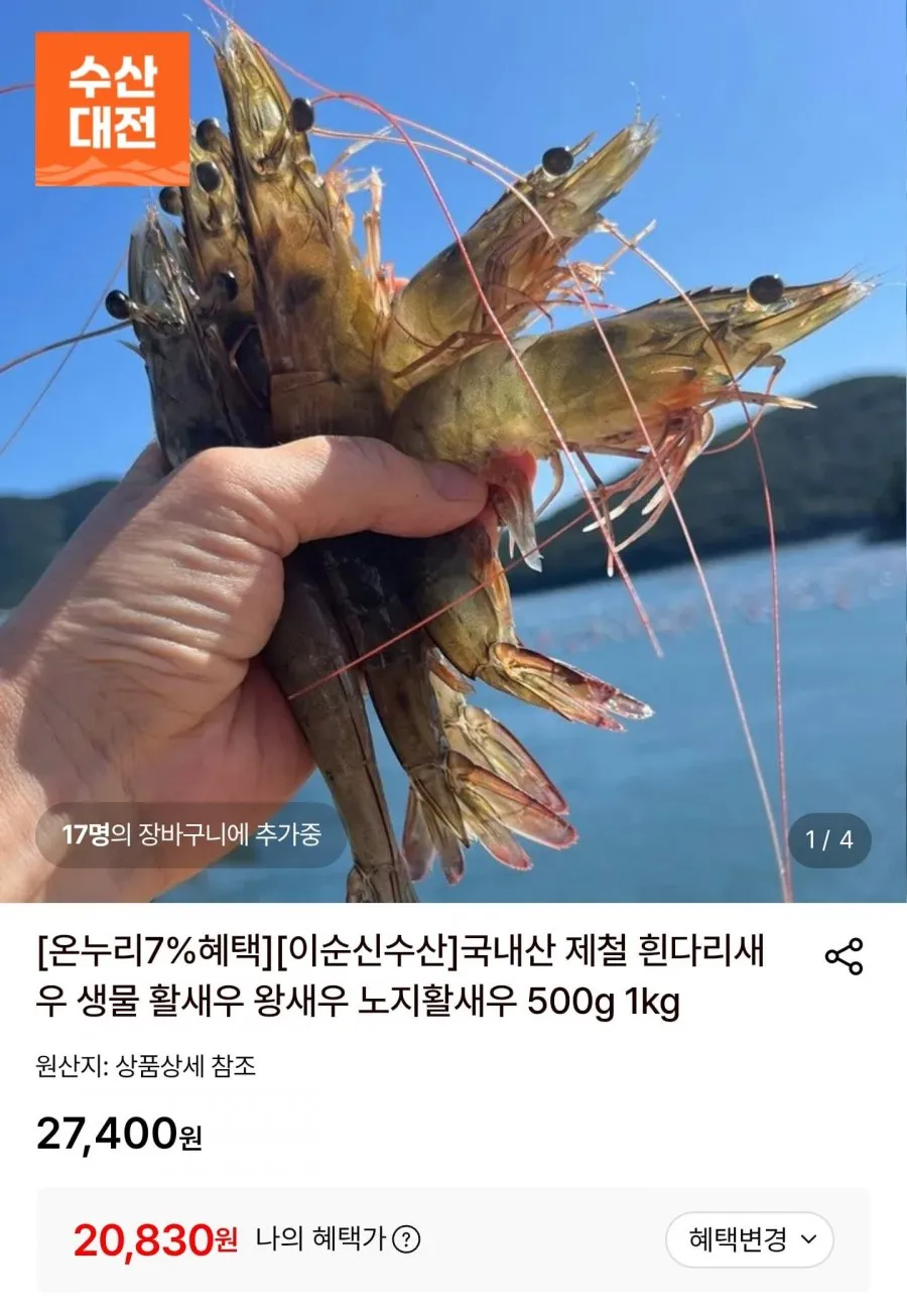 국내산 생물 노지 활새우 1kg 34미 내외