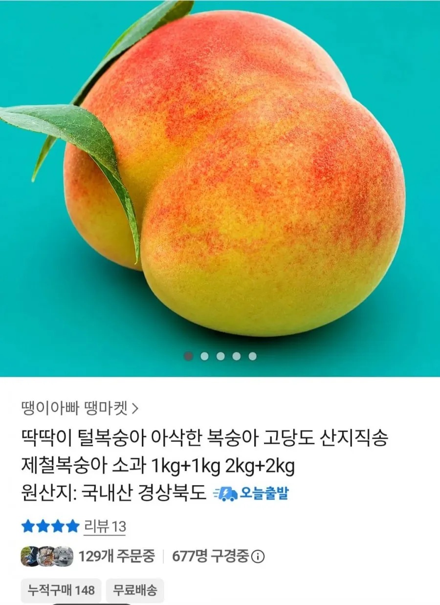 딱딱이 털복숭아 중과 2kg