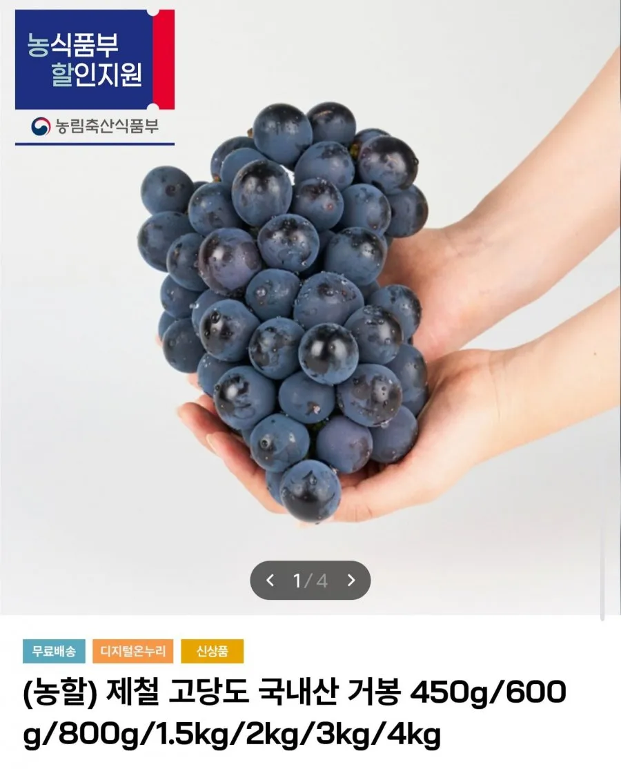 국내산 거봉 1.5kg