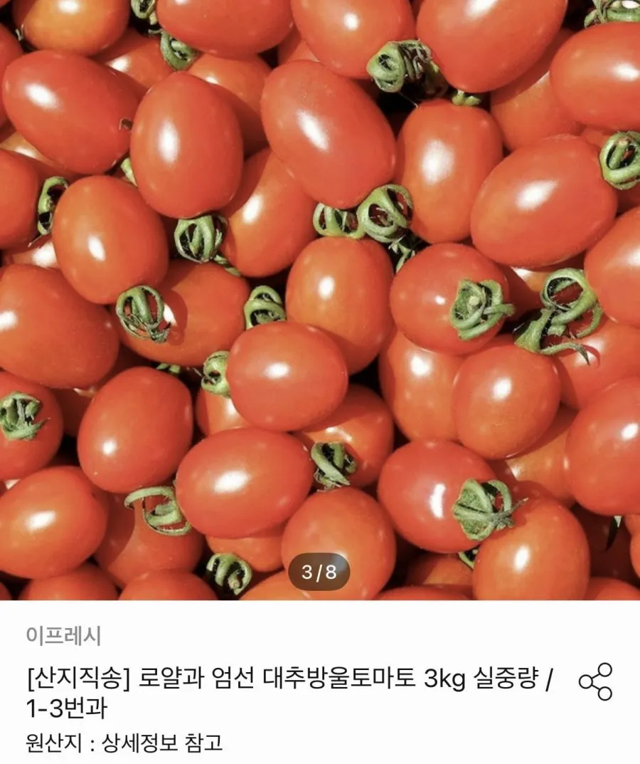 대추방울토마토 소과 3kg