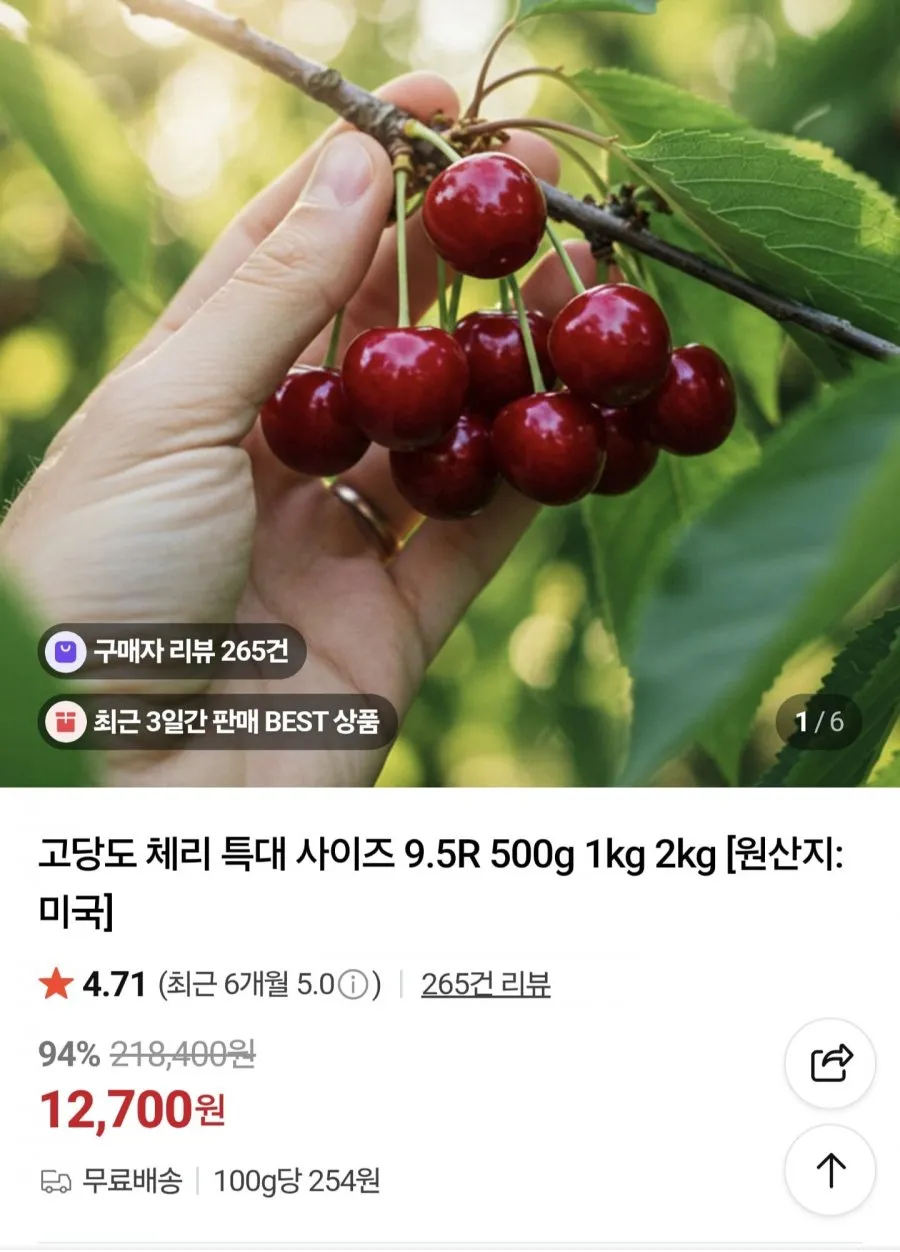 미국산 체리 500g 특대사이즈 9.5R