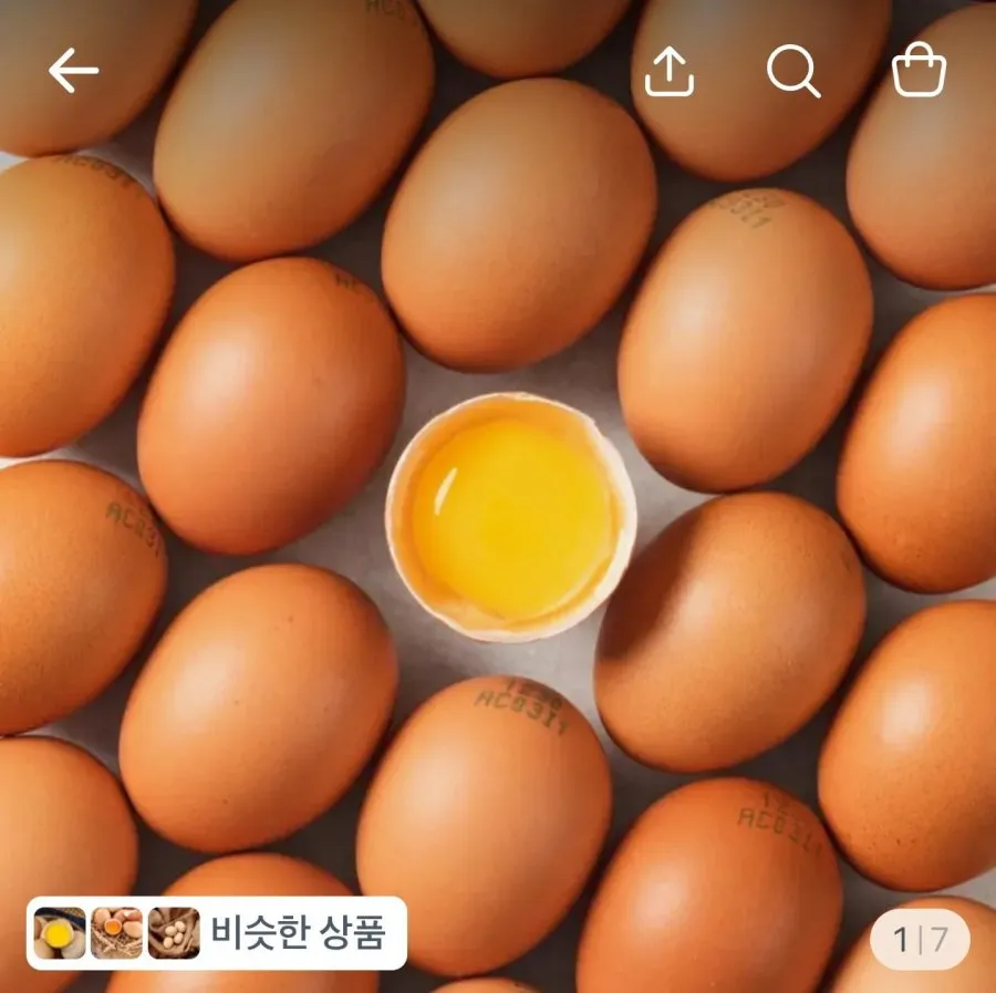 난각번호 1번 무항생제 유정란 40구