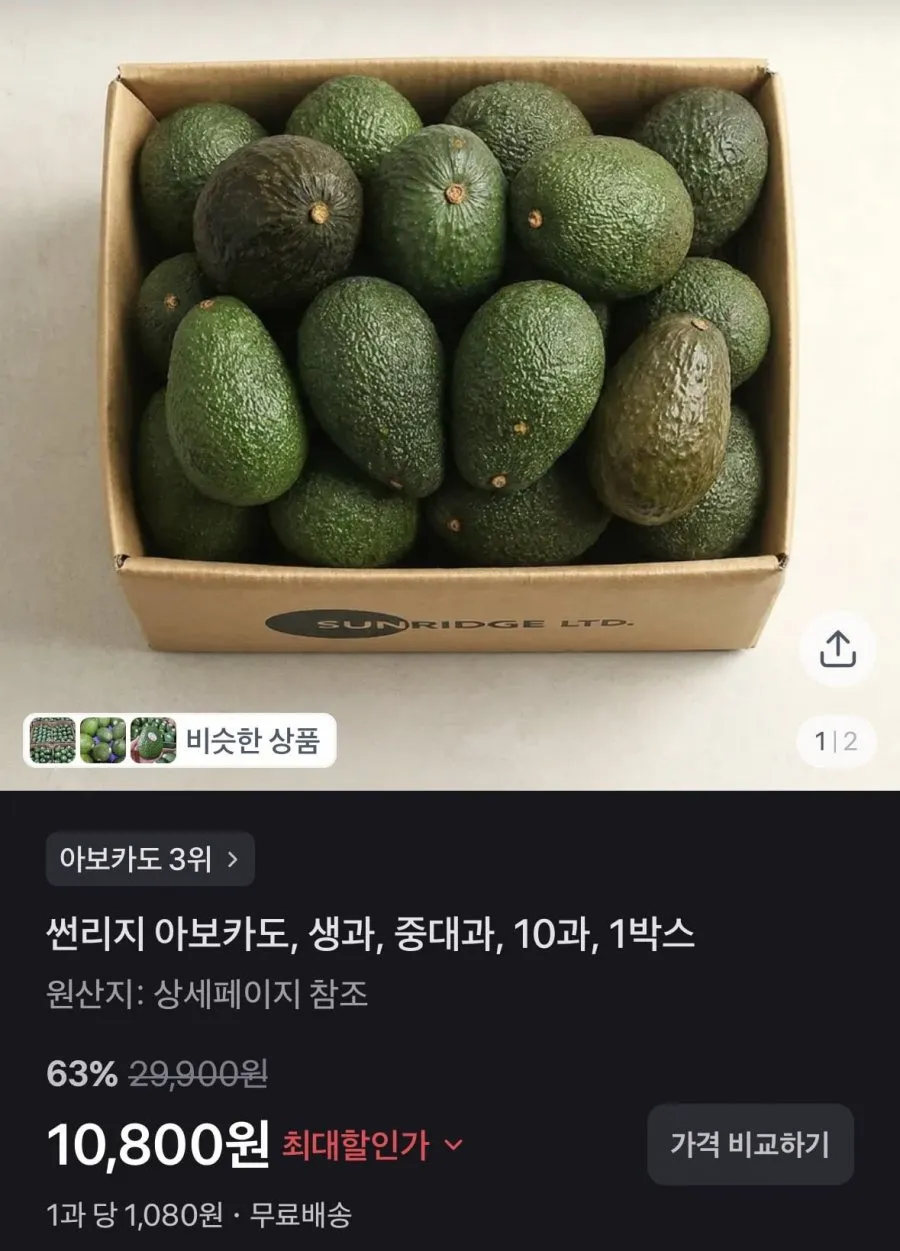 아보카도 생과 중대과 10개