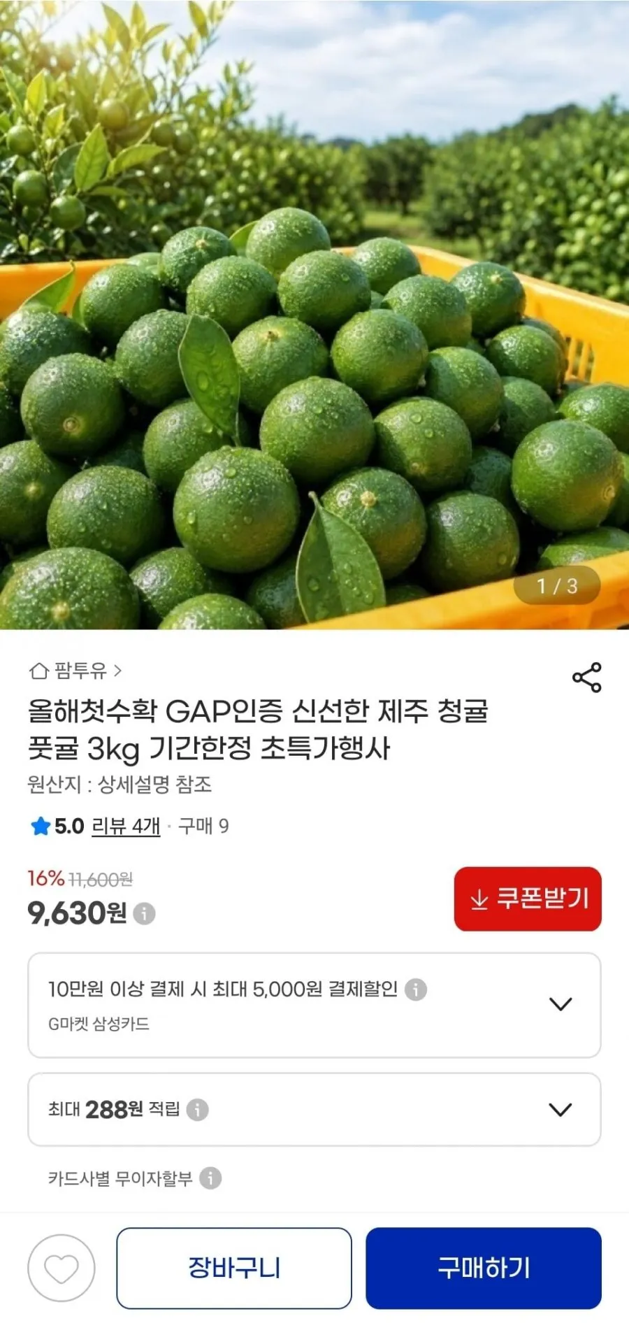 GAP인증 제주 청귤 3kg