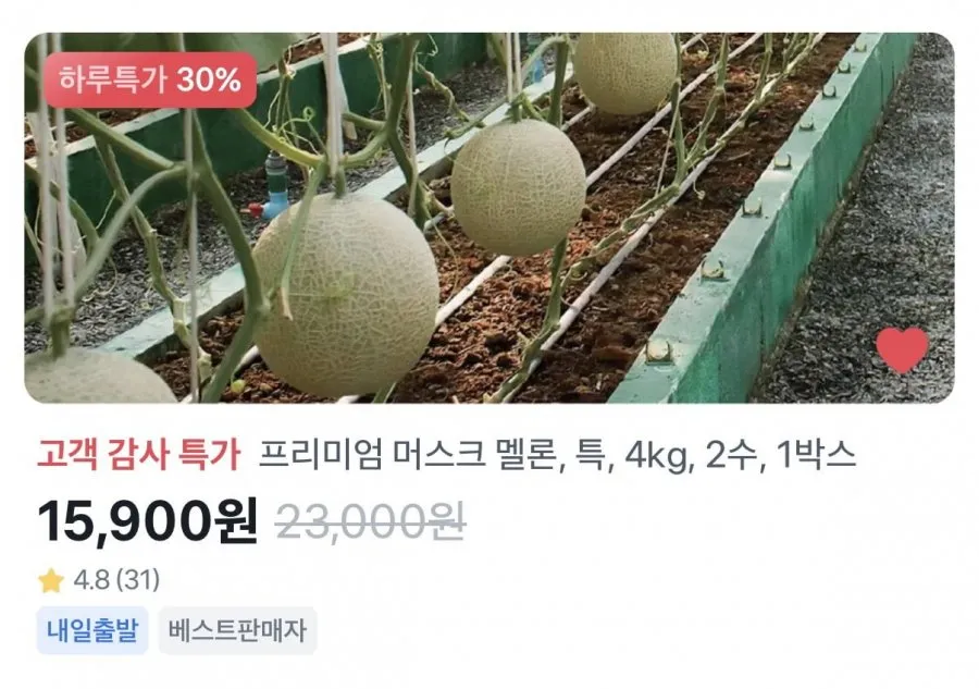 머스크 멜론 4kg 2수