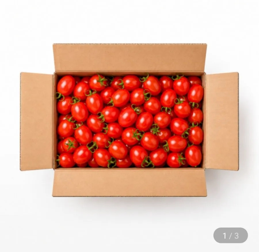 대추방울토마토 2kg 소과