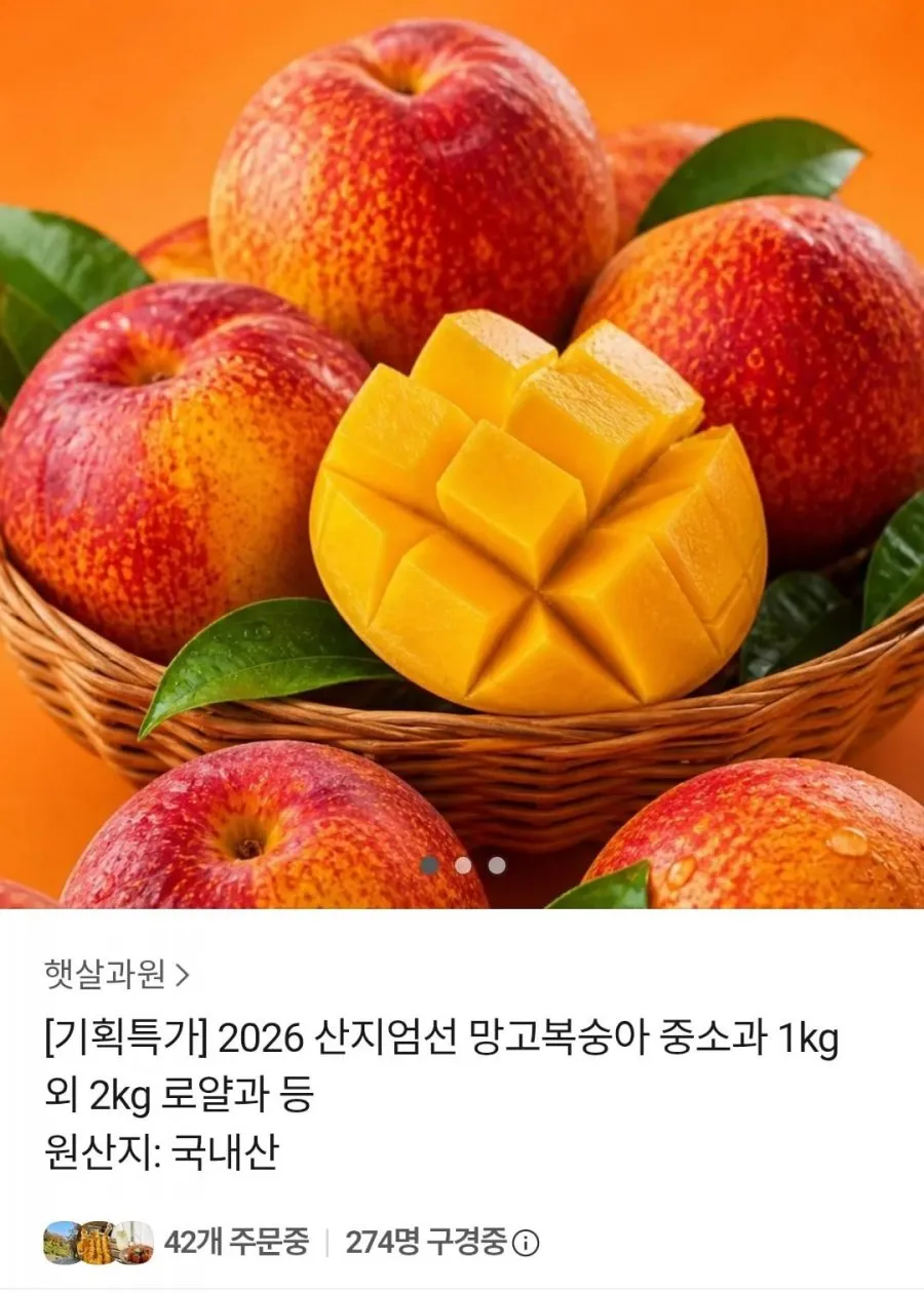 망고복숭아 중소과 1kg 외