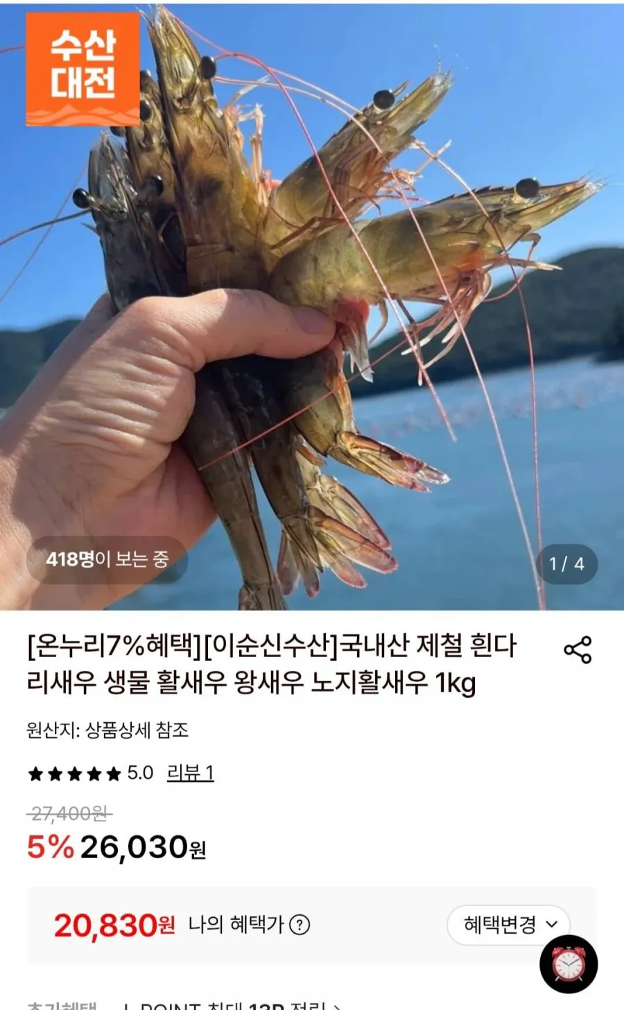 국산 생물 노지활새우 대 1kg 31미내외