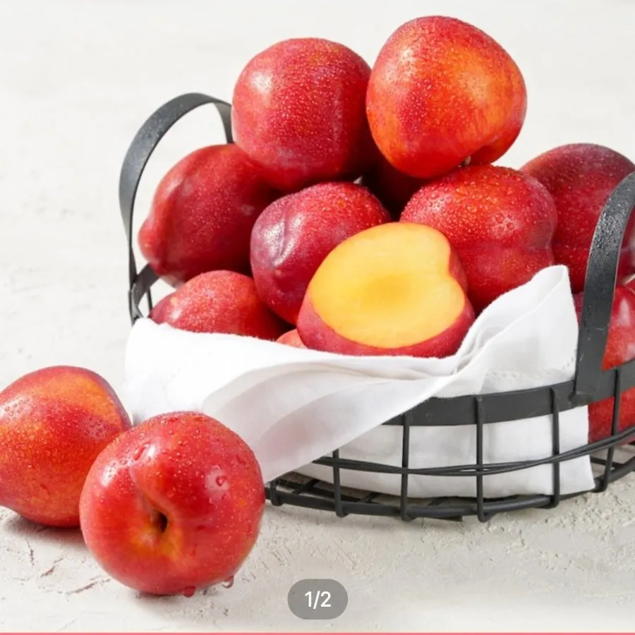 영천 노지자두 2kg