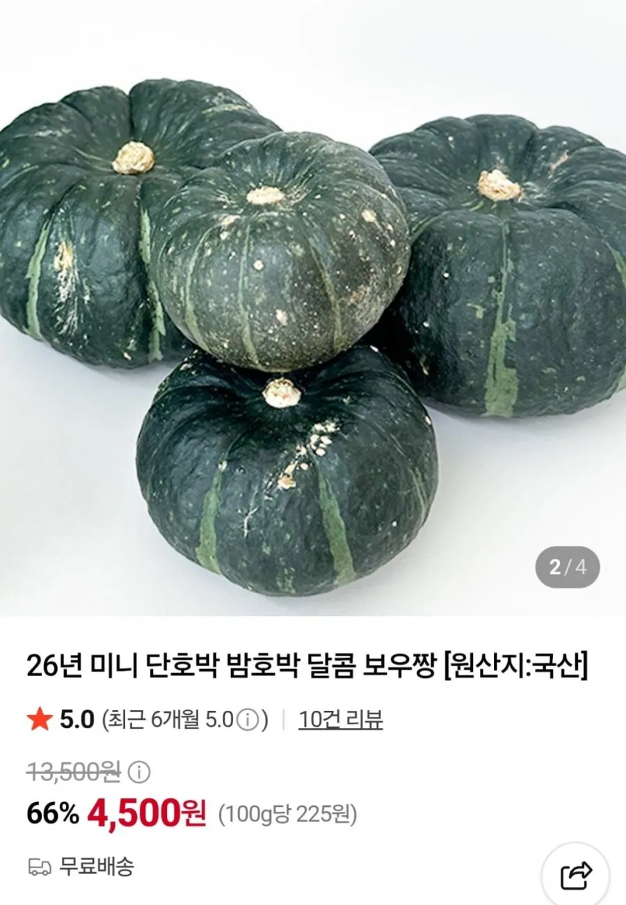 미니 단호박 보우짱 2kg 로얄과