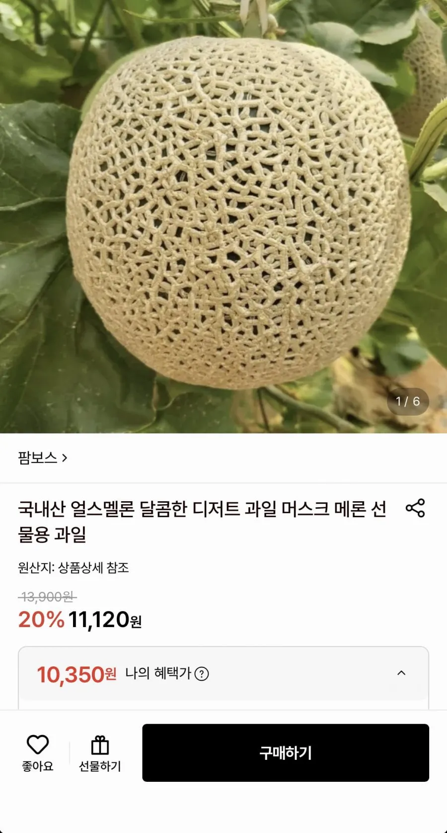 국내산 머스크 얼스 멜론 1.5kg 내외 1통