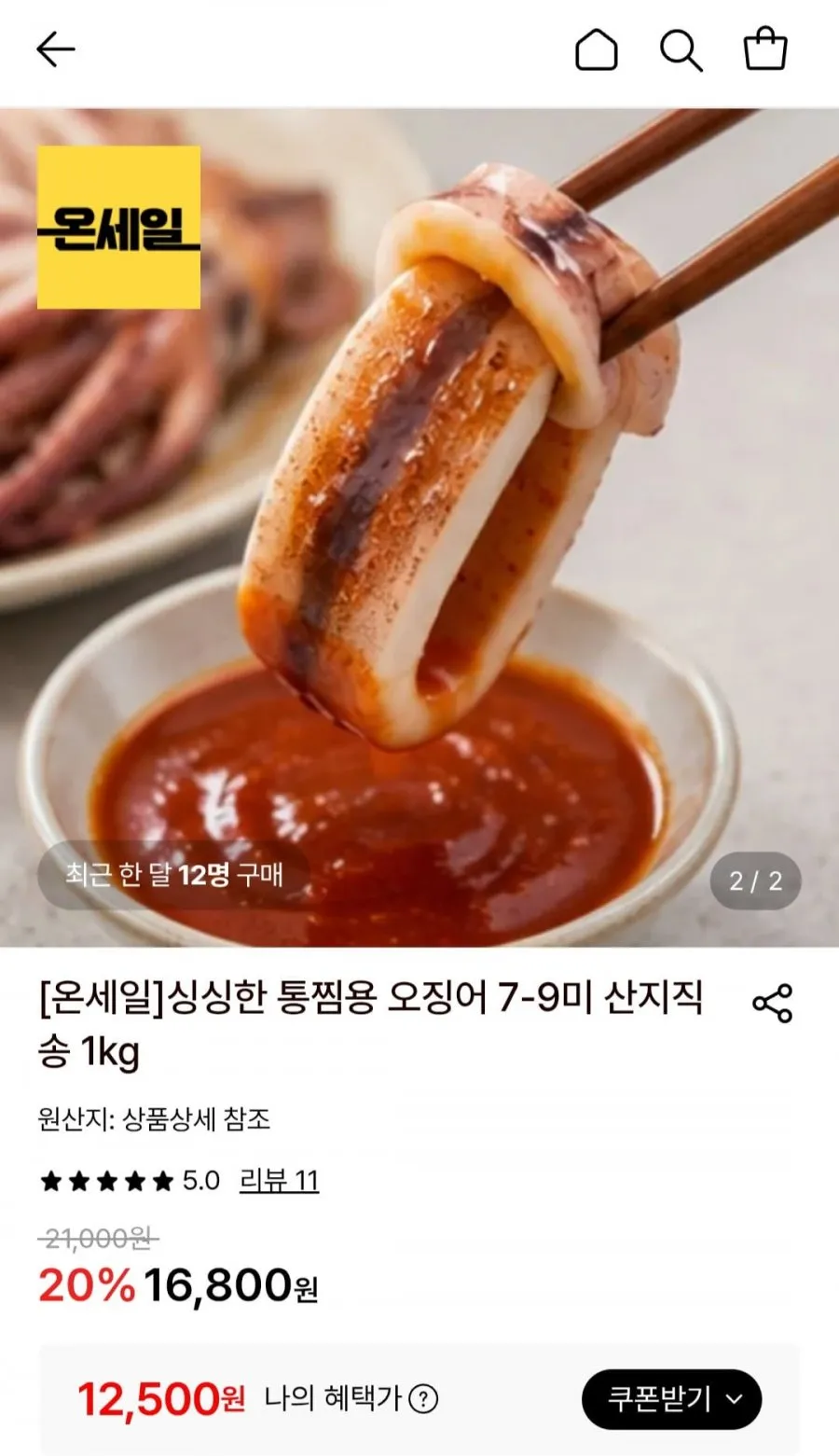 통찜용 오징어 1kg (7-9미)