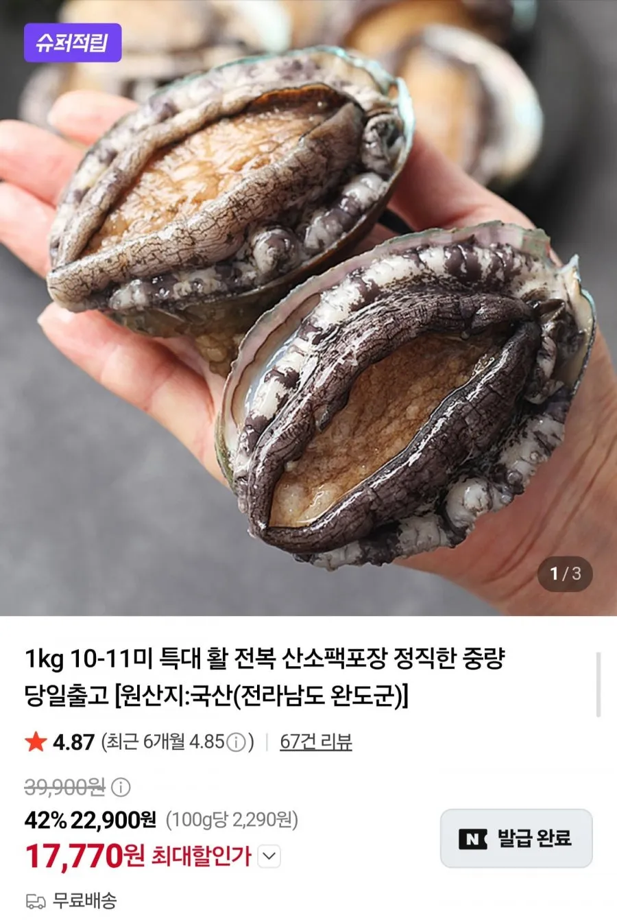 국내산 활전복 1kg 10~11미