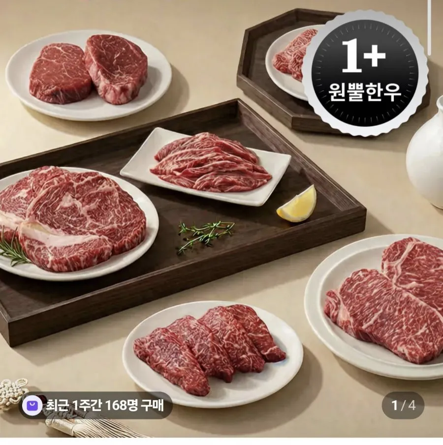 1+ 농협 한우 등심 250g
