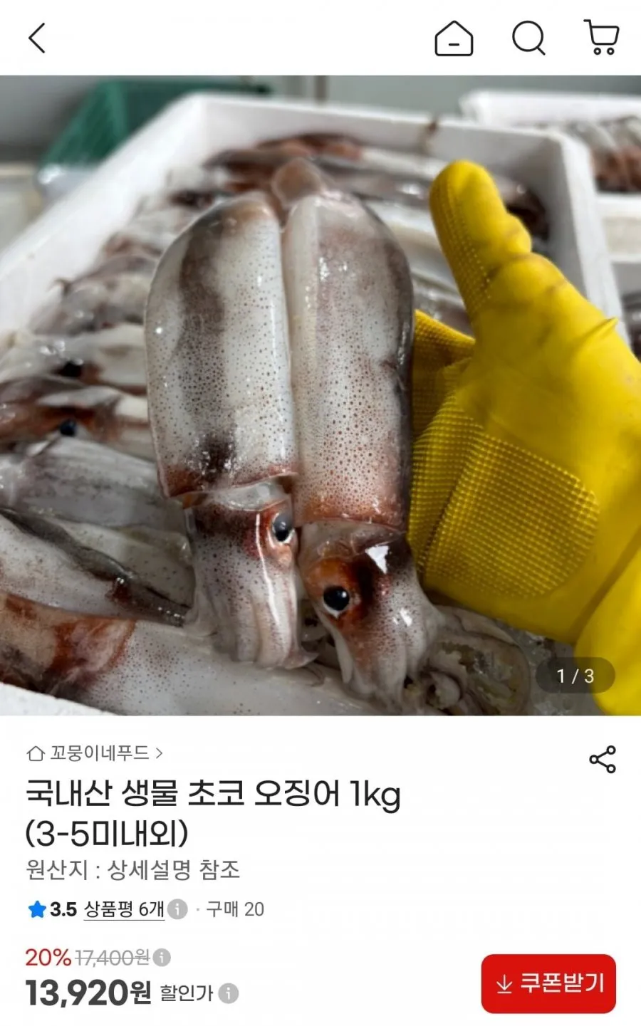 국내산 생물 초코 오징어 1kg (3-5미내외)