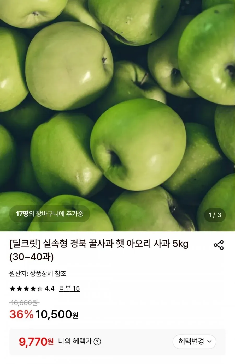 햇 아오리사과 5kg