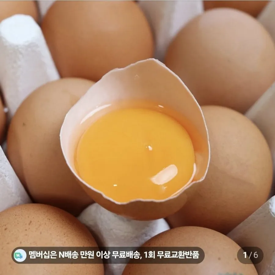 (네멤) 난각1번 유정란 20구
