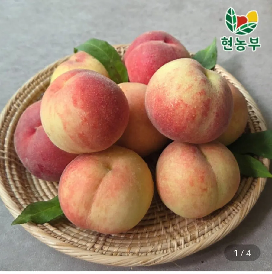 대극천 납작 복숭아 1kg