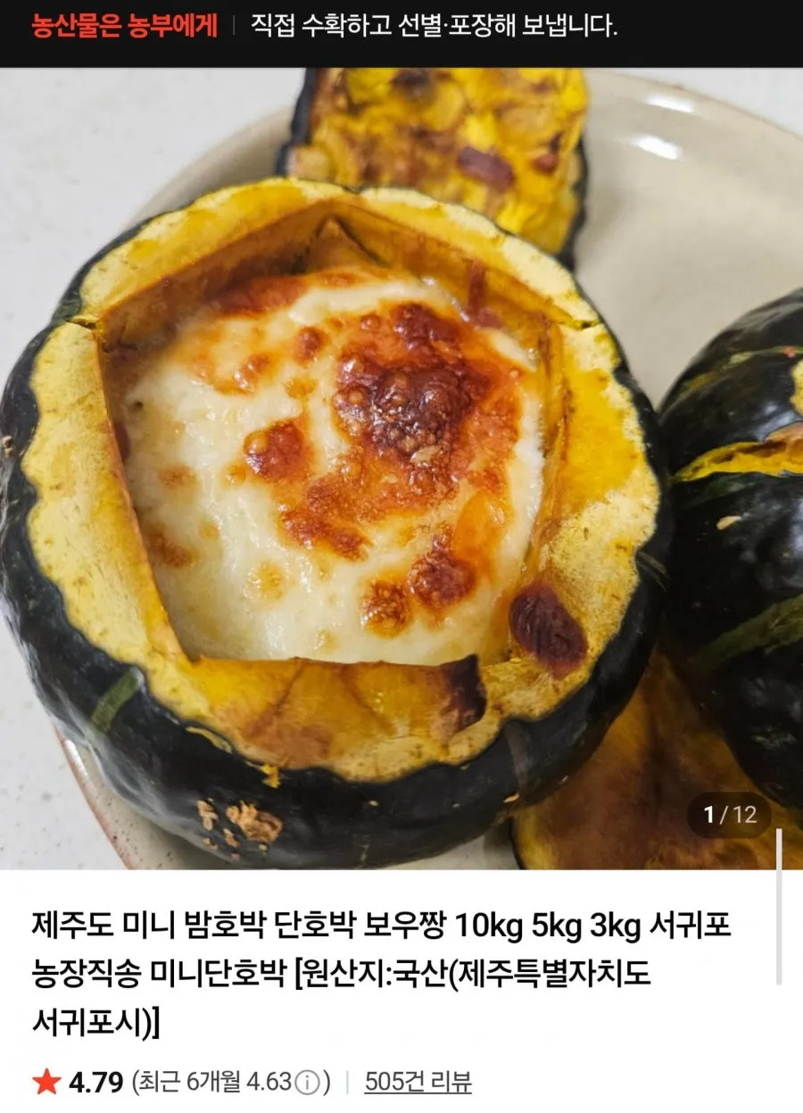 제주산 미니밤호박 보우짱 특품 3kg
