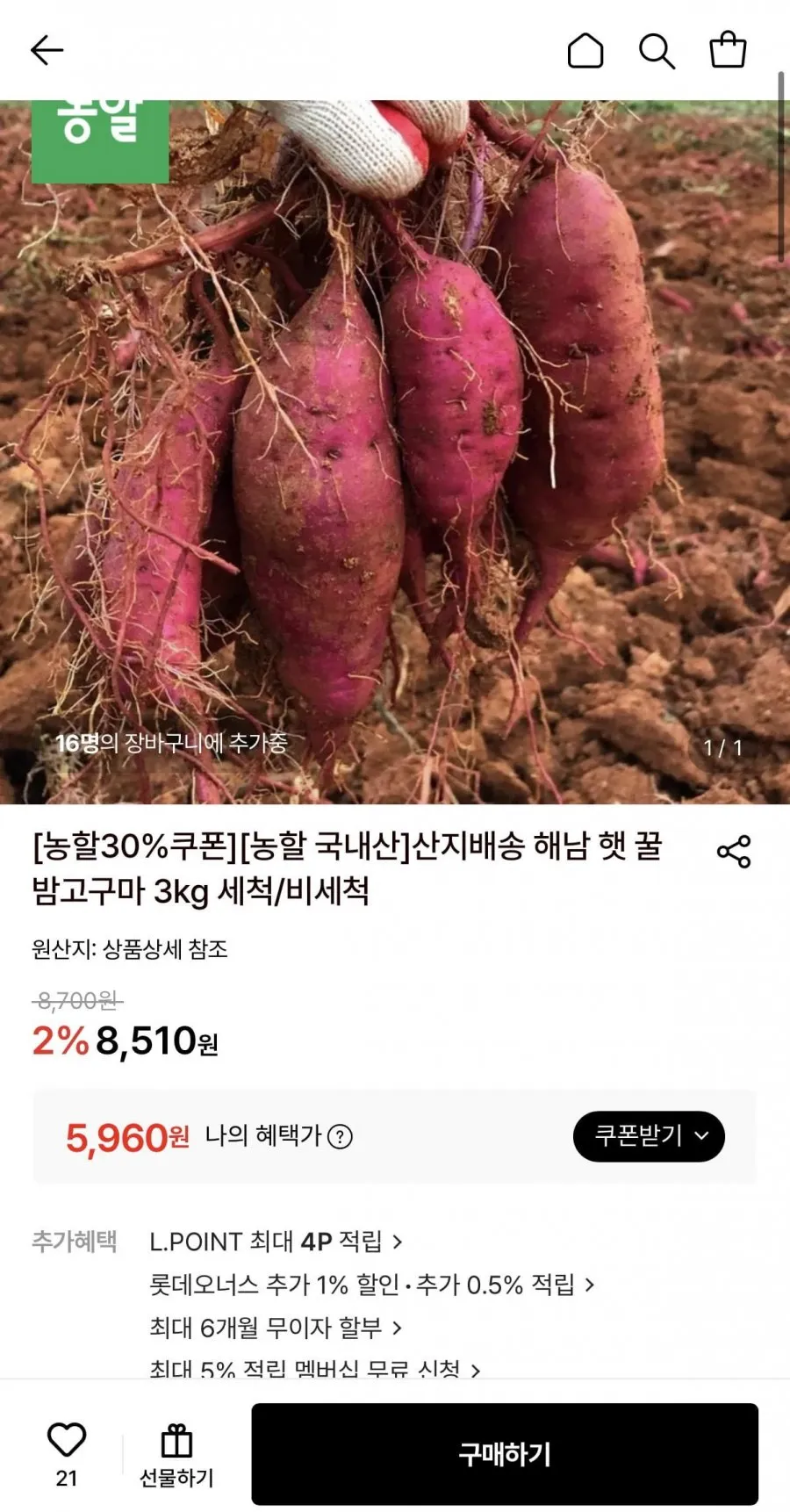 햇꿀밤고구마 3kg 비세척 한입