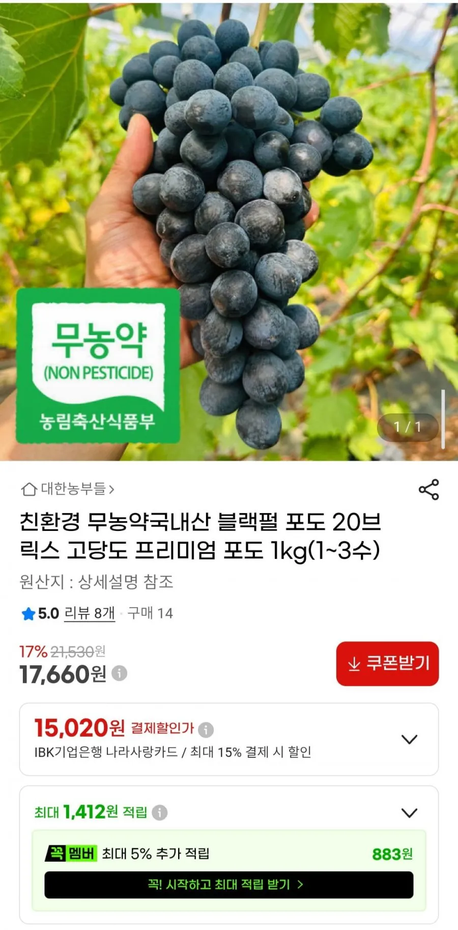 친환경 무농약 국내산 블랙펄 포도 20브릭스 고당도 1kg(1~3수)